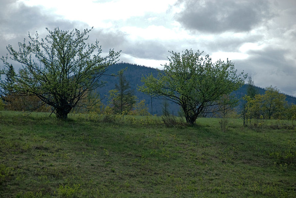 Spruce Mountain